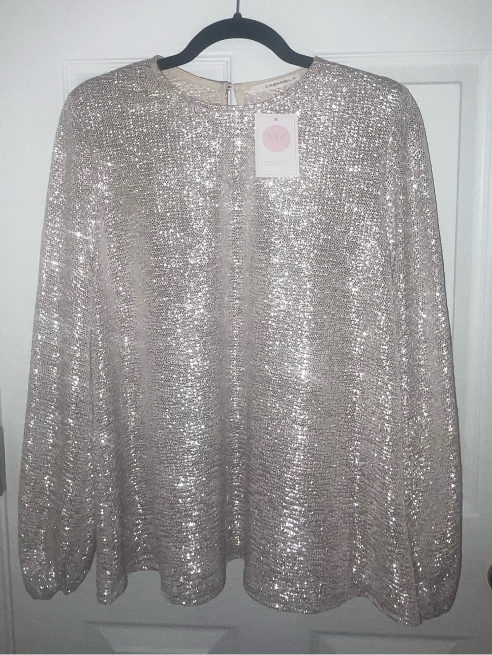 Balloon Sleeve Shimmer Top